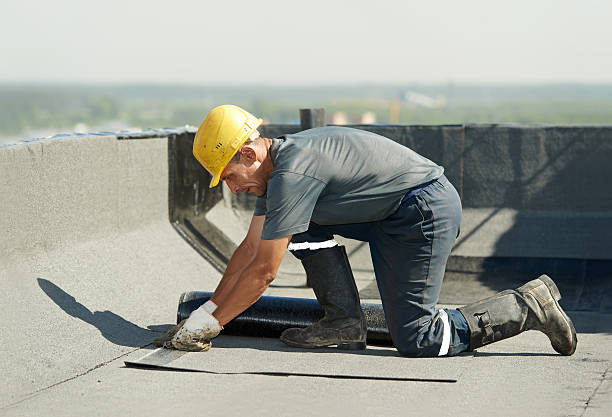 Best Insulation Installation Services in Sibley, IA